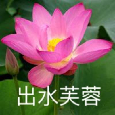 趣味跑跑3最新版下载
